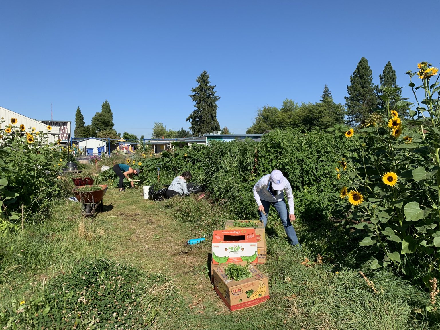 Windermere Offices Find Safe Ways to Give Back This Summer Windermere