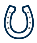 icon-horseshoe