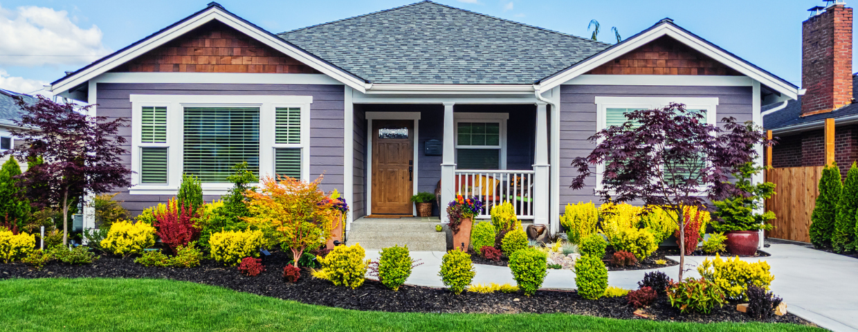 A craftsman house with a healthy green lawn and well-tended shrubbery lining the driveway.