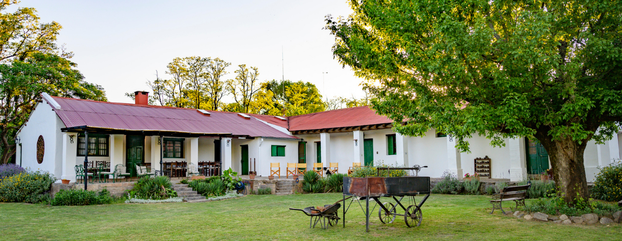 A white rambler home with a large tree in the front yard.