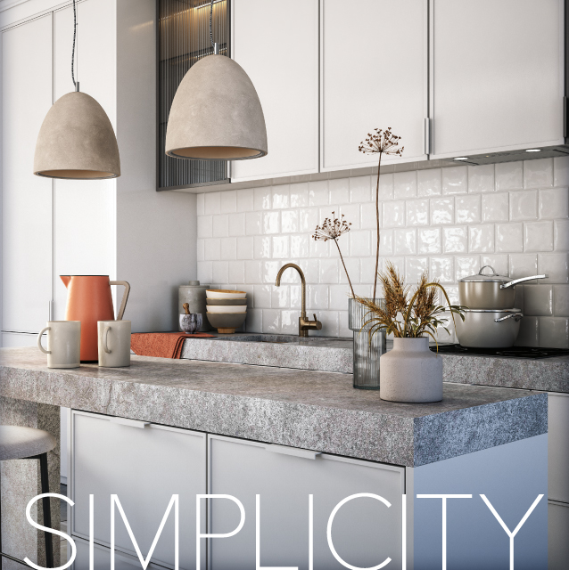 22009-JAN-Mobile_Simplicity