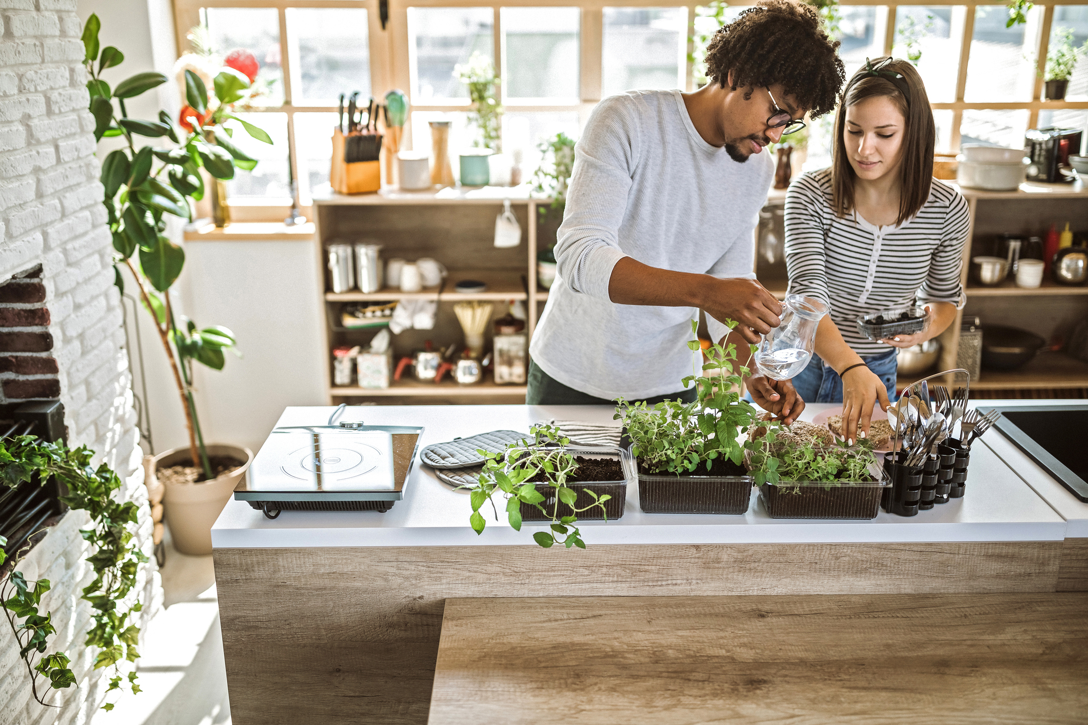 A young man and a woman take care of their kitchen herbs and houseplants.
