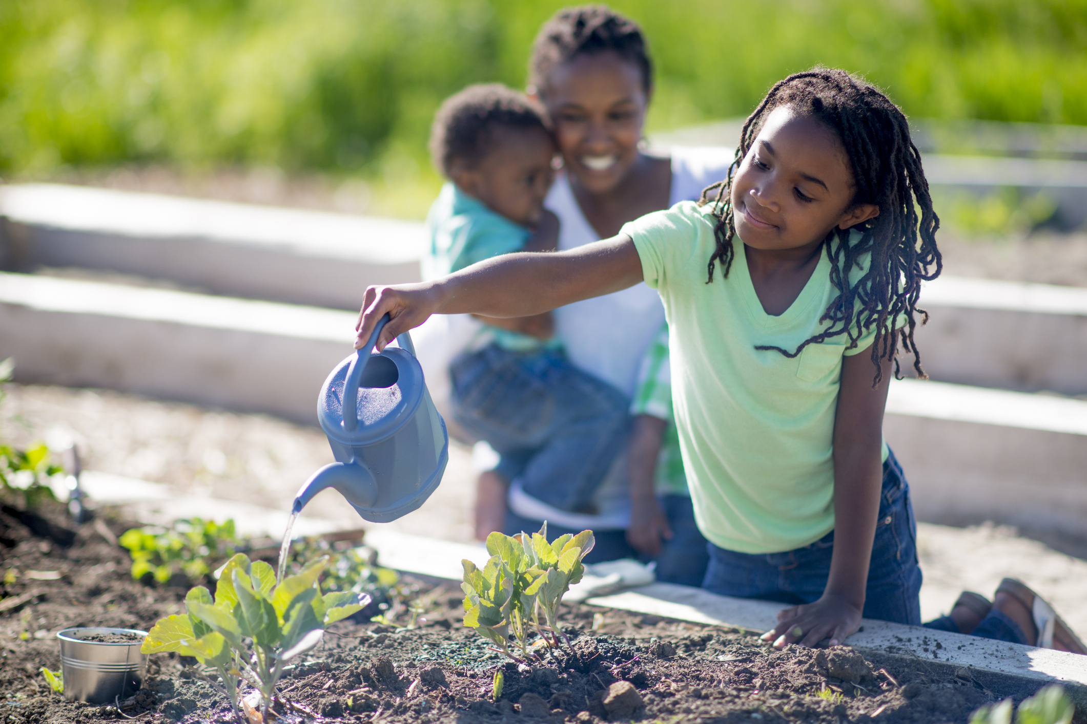 A family works in their home garden. The daughter waters the plants.