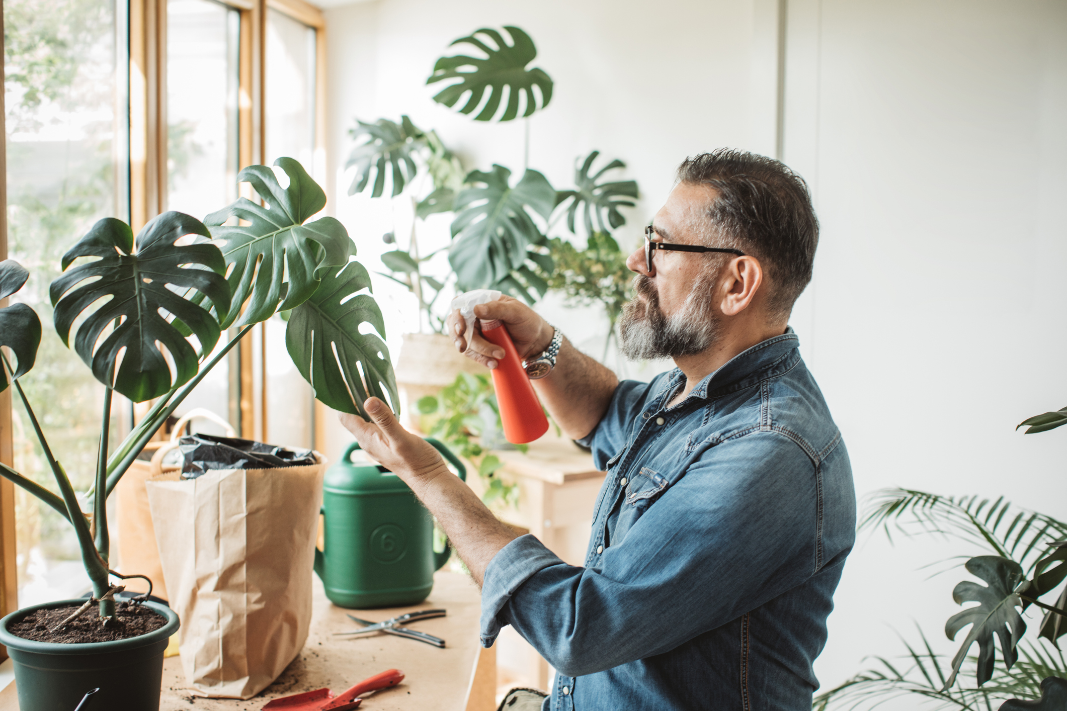 A man sprays water on the leaves of his houseplants.