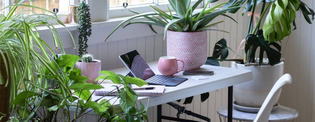 Collection of houseplants around a white home office desk