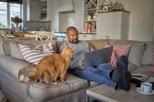 An orange cat watches her owner work on his computer as he sits on the living room couch