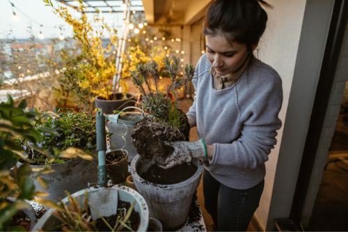 A young woman replants plants on her balcony garden.