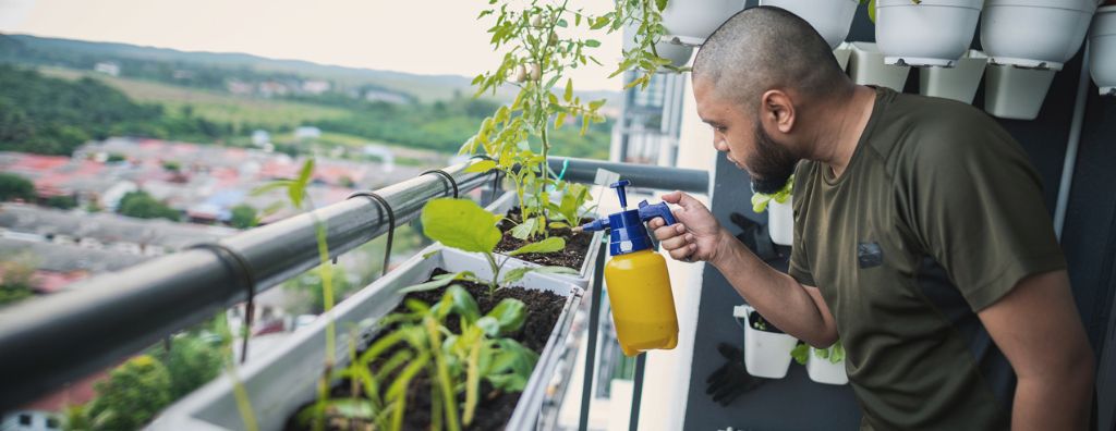A young man sprays water on the plants in his balcony garden at his high-rise apartment.