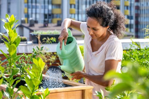 A woman tends to her balcony garden. She is growing plants to make her condominium more private.