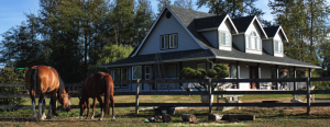 Two horses graze in the foreground on an equestrian property. Behind them is a traditional two-story house with a wraparound porch and several windows.