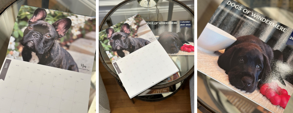 2 photos lined up horizontally showing different angles of the "Dogs of Windermere Calendar" for 2023-2024. On the far left is the calendar open to May with a black french bulldog. The center shows the calendar open to may and a calendar closed with the front cover showing. On the right is a photo of the front page with a chocolate lab, the center
